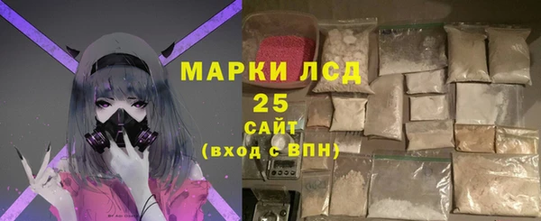 ГАЛЛЮЦИНОГЕННЫЕ ГРИБЫ Аркадак