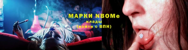 ГАЛЛЮЦИНОГЕННЫЕ ГРИБЫ Аркадак
