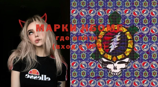 ГАЛЛЮЦИНОГЕННЫЕ ГРИБЫ Аркадак