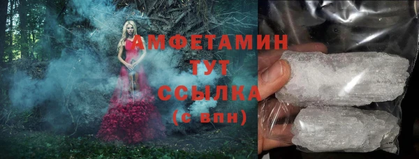 ГАЛЛЮЦИНОГЕННЫЕ ГРИБЫ Аркадак