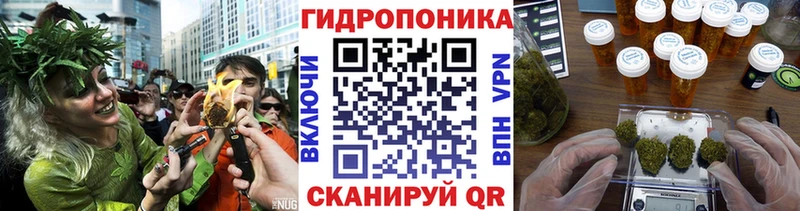 Канабис OG Kush Малая Вишера